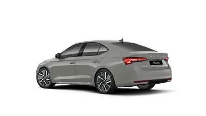 Octavia Dynamic