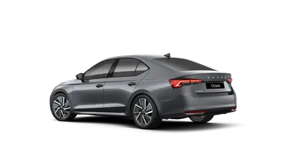 Octavia Dynamic