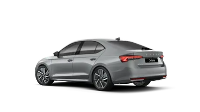 Octavia Dynamic