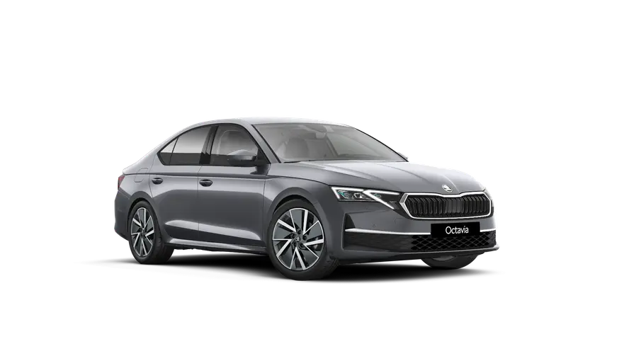 Octavia Dynamic