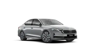Octavia Dynamic