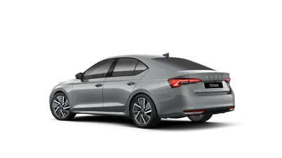 Octavia Dynamic