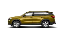 Kodiaq Exclusive Selection