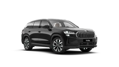 Kodiaq Exclusive Selection