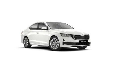 Octavia Top Selection