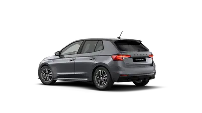 Fabia Monte Carlo