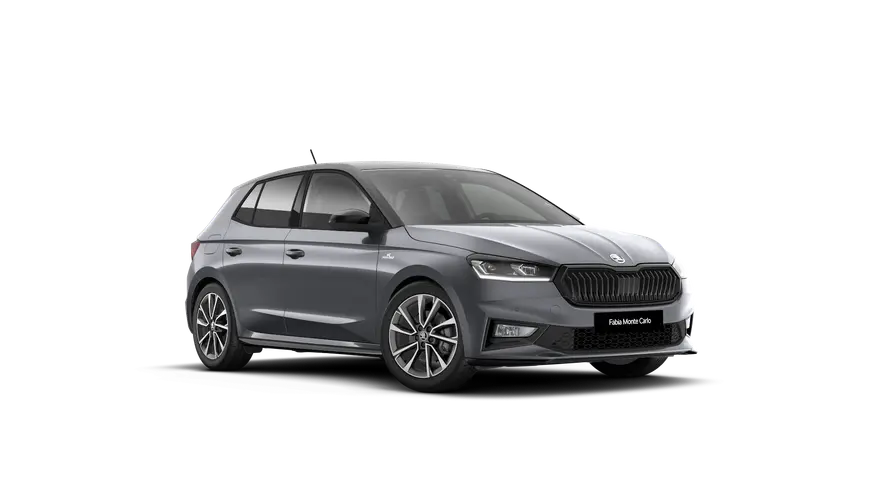 Fabia Monte Carlo