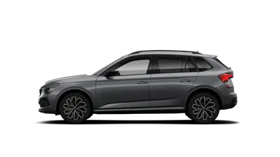 Kamiq Dynamic