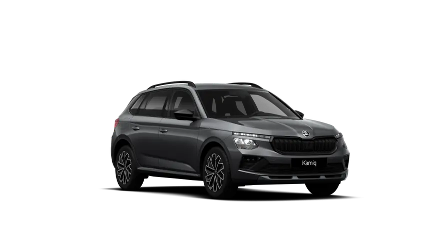 Kamiq Dynamic