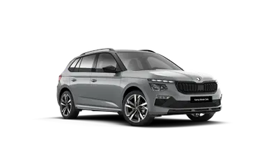 Kamiq Monte Carlo