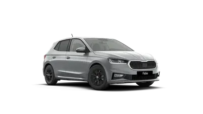 Fabia Top Selection
