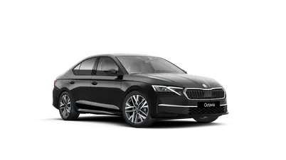 Octavia Dynamic