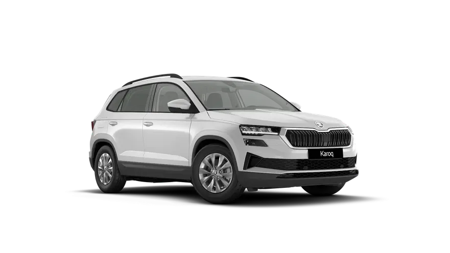 Karoq 130 let
