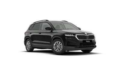 Karoq 130 let