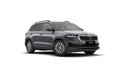 Karoq 130 let