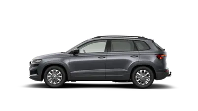 Karoq 130 let