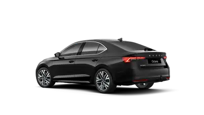 Octavia Top Selection