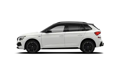 Kamiq Monte Carlo