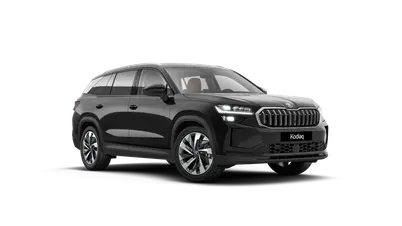 Kodiaq Exclusive Selection