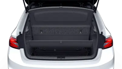 Fabia Monte Carlo
