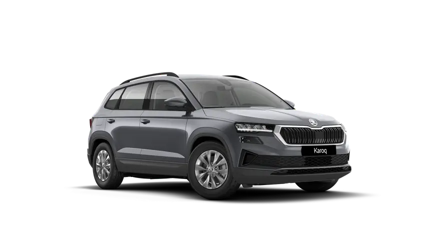 Karoq 130 let
