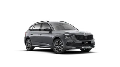 Kamiq Dynamic