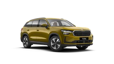 Kodiaq Selection