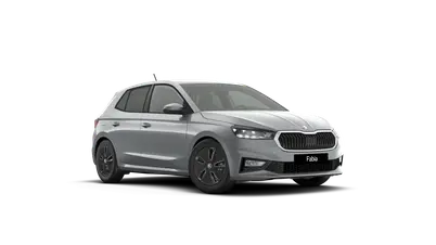 Fabia Dynamic