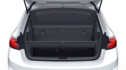 Fabia Dynamic