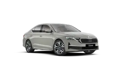 Octavia Exclusive Selection