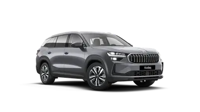 Kodiaq Exclusive Selection