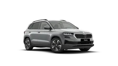 Karoq 130 let