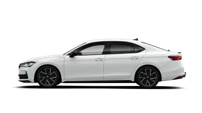Superb Sportline