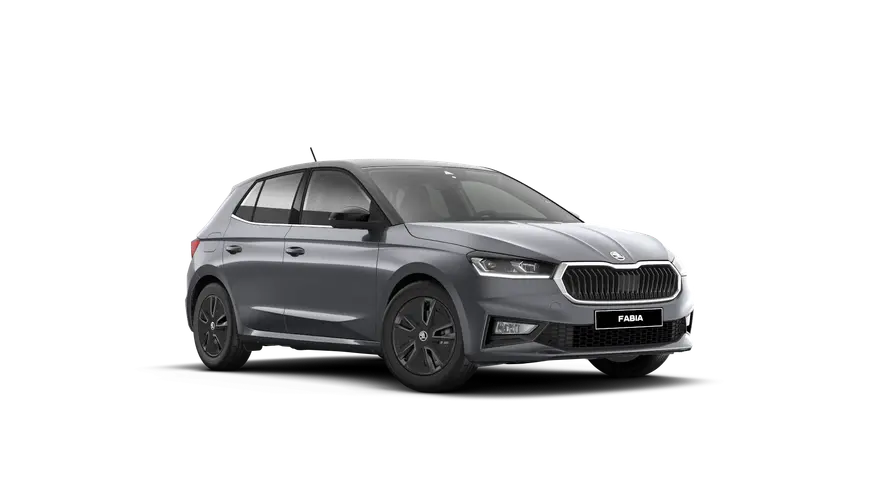 Fabia Style