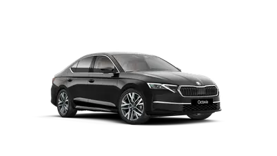 Octavia Exclusive Selection