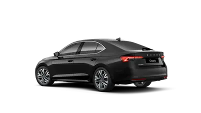 Octavia Exclusive Selection