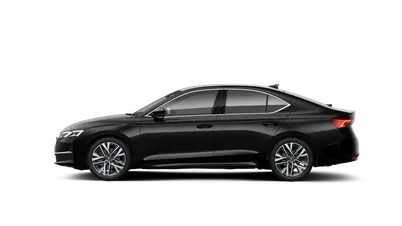 Octavia Exclusive Selection