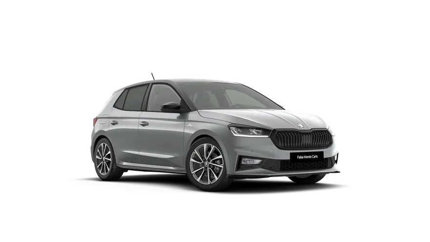Fabia Monte Carlo