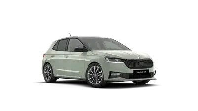 Fabia Monte Carlo