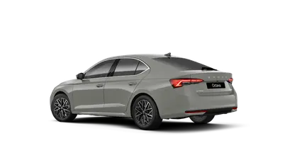 Octavia Top Selection