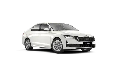 Octavia Top Selection