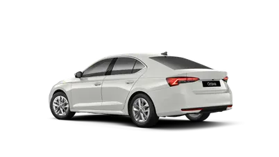 Octavia Top Selection