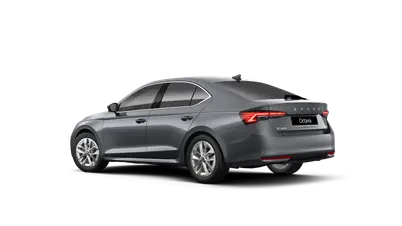 Octavia Top Selection