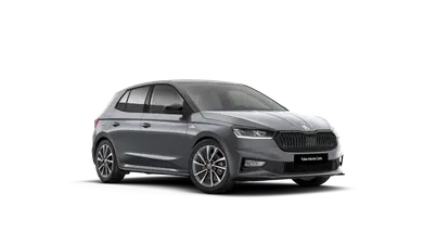 Fabia Monte Carlo