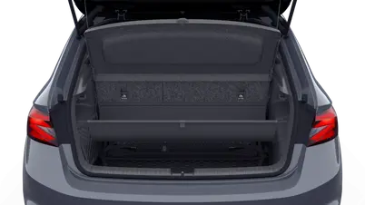 Fabia Monte Carlo