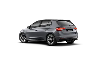 Fabia Monte Carlo