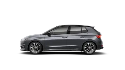 Fabia Monte Carlo