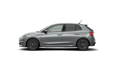 Fabia Dynamic