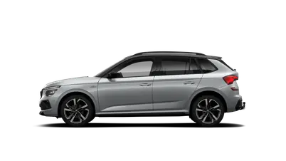 Kamiq Monte Carlo