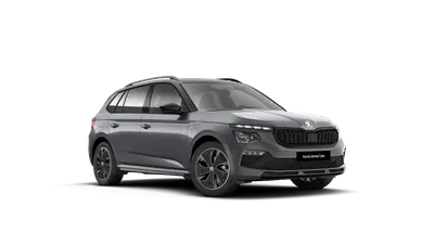 Kamiq Monte Carlo